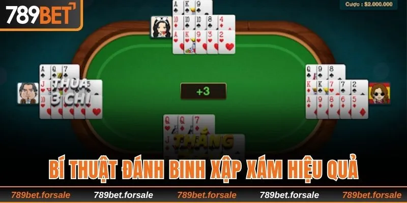 Bí thuật đánh Binh Xập Xám hiệu quả