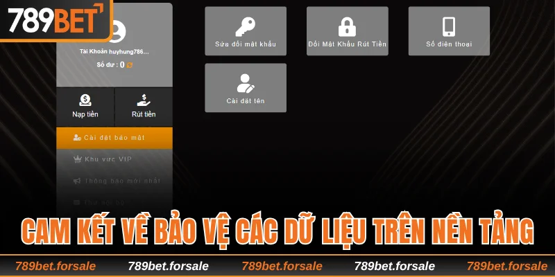 Cam kết về bảo vệ các dữ liệu trên nền tảng