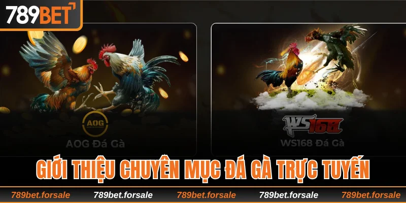 Đôi nét thông tin về chuyên mục đá gà online