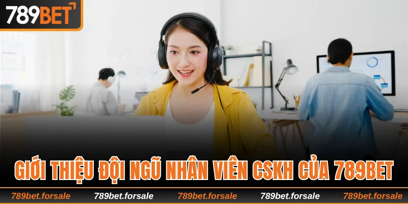 Giới thiệu về đội ngũ nhân viên CSKH của 789bet
