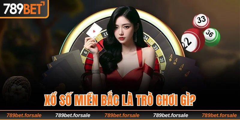 Khám phá chi tiết về trò chơi xổ số miền Bắc
