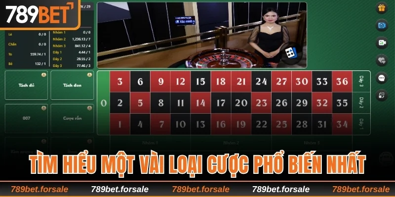 Tìm hiểu một vài loại cược phổ biến nhất