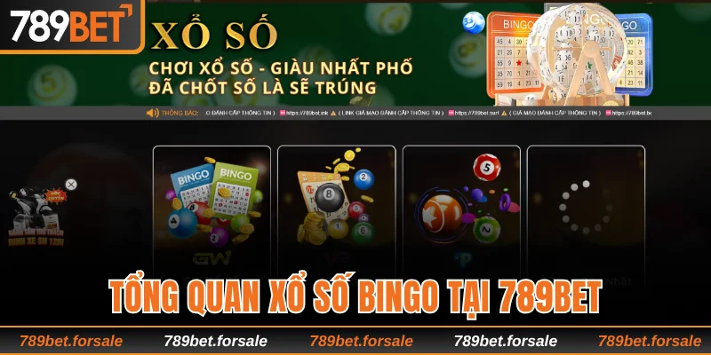 Tổng quan xổ số Bingo tại 789bet